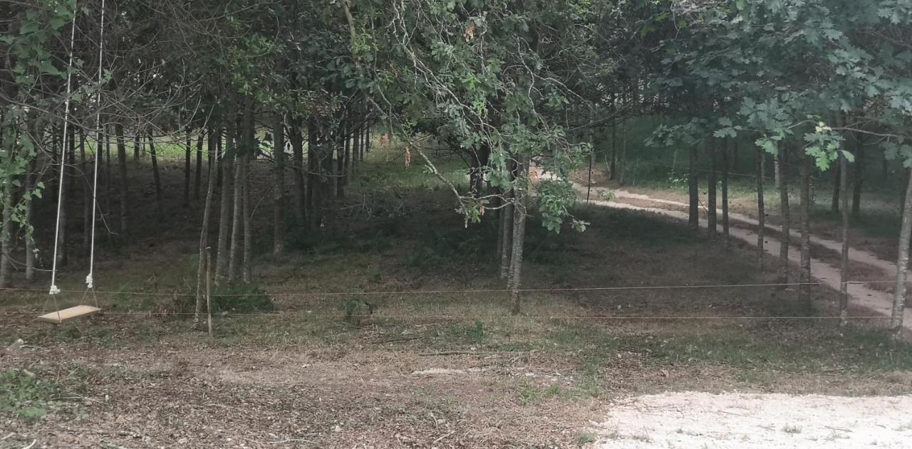 Quinta do Soldado - Com Piscina e Jardim Privado - Totalmente Renovada 2021 Albergaria-a-Velha Exterior foto