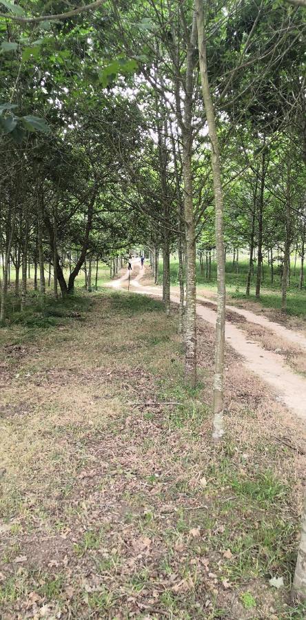 Quinta do Soldado - Com Piscina e Jardim Privado - Totalmente Renovada 2021 Albergaria-a-Velha Exterior foto