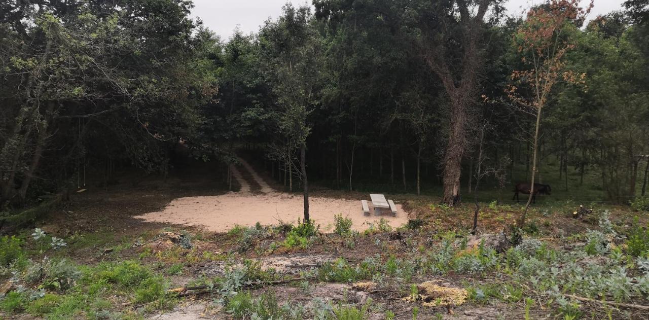 Quinta do Soldado - Com Piscina e Jardim Privado - Totalmente Renovada 2021 Albergaria-a-Velha Exterior foto