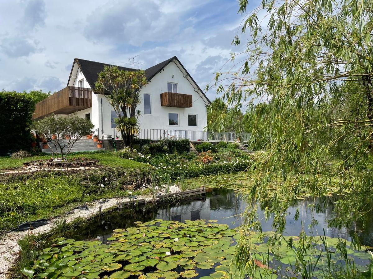 Quinta do Soldado - Com Piscina e Jardim Privado - Totalmente Renovada 2021 Albergaria-a-Velha Exterior foto
