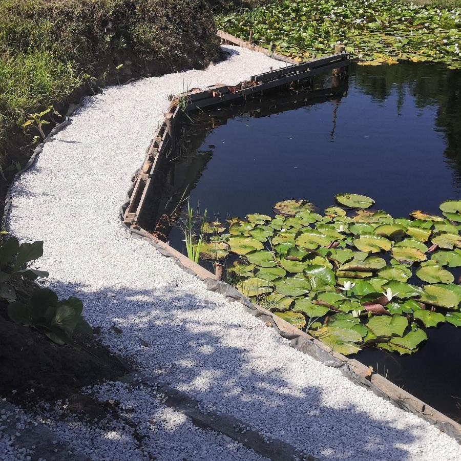 Quinta do Soldado - Com Piscina e Jardim Privado - Totalmente Renovada 2021 Albergaria-a-Velha Exterior foto