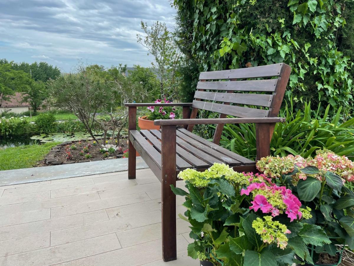 Quinta do Soldado - Com Piscina e Jardim Privado - Totalmente Renovada 2021 Albergaria-a-Velha Exterior foto