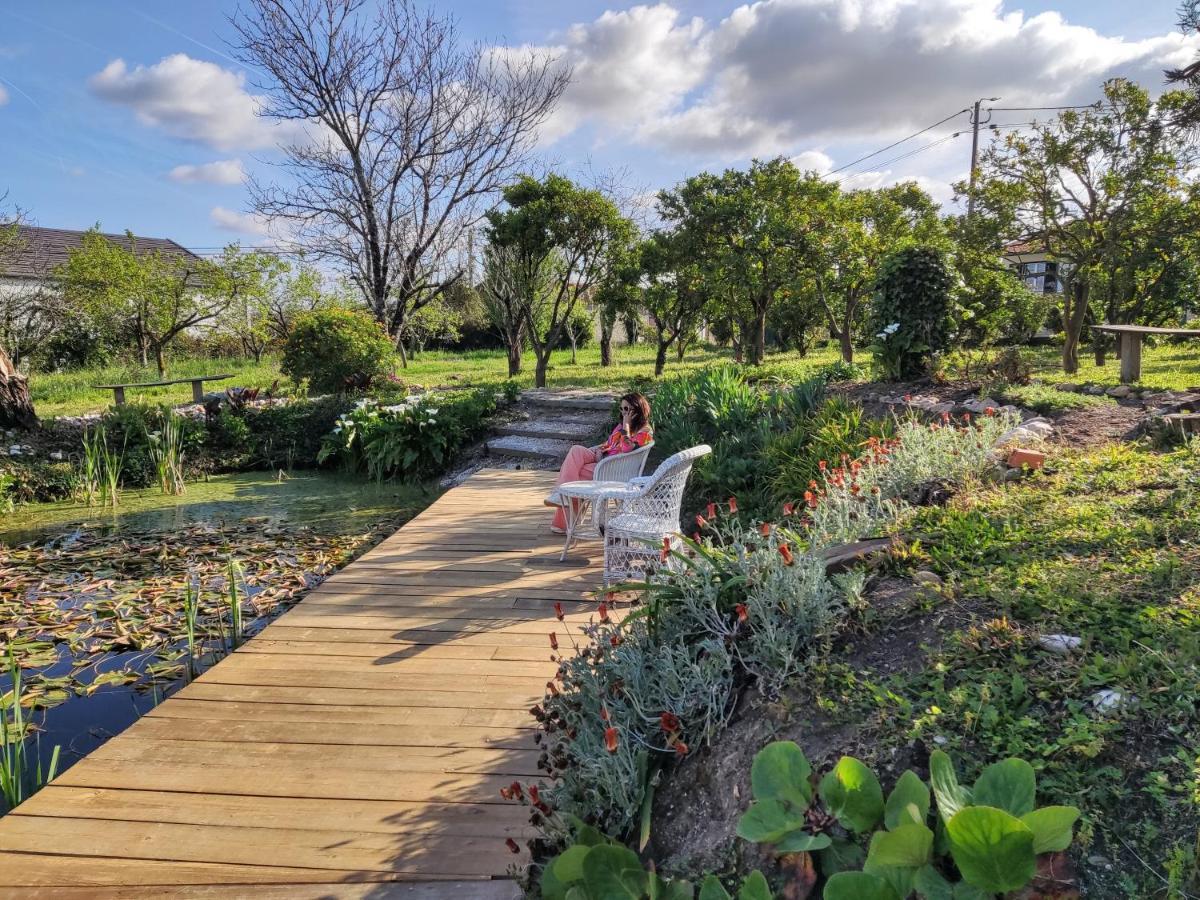 Quinta do Soldado - Com Piscina e Jardim Privado - Totalmente Renovada 2021 Albergaria-a-Velha Exterior foto